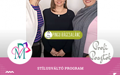 Stílusváltó program